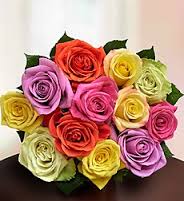 Kiwanis One Dozen Color Rose Bouquet FUNDRAISER 