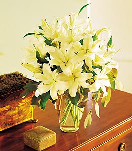 White Lilies 